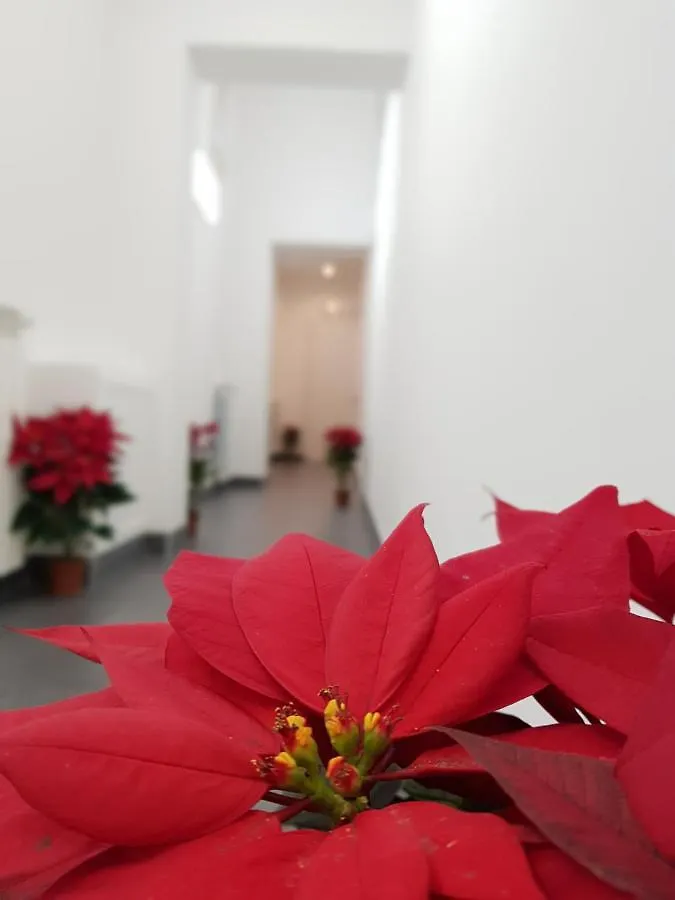 ** Bed & Breakfast Pupi 93 Rooms Palermo Italy