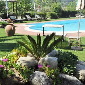 https://hotel-tirrena.it-tuscanyhotel.com